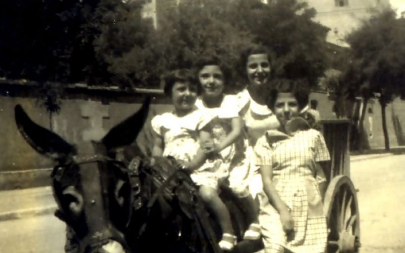 Imágenes de Bodegas Sanzoles Imágenes de Bodegas Sanzoles